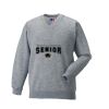 Russell Schoolgear Kids V Neck Sweatshirt Thumbnail