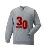Russell Schoolgear Kids V Neck Sweatshirt Thumbnail